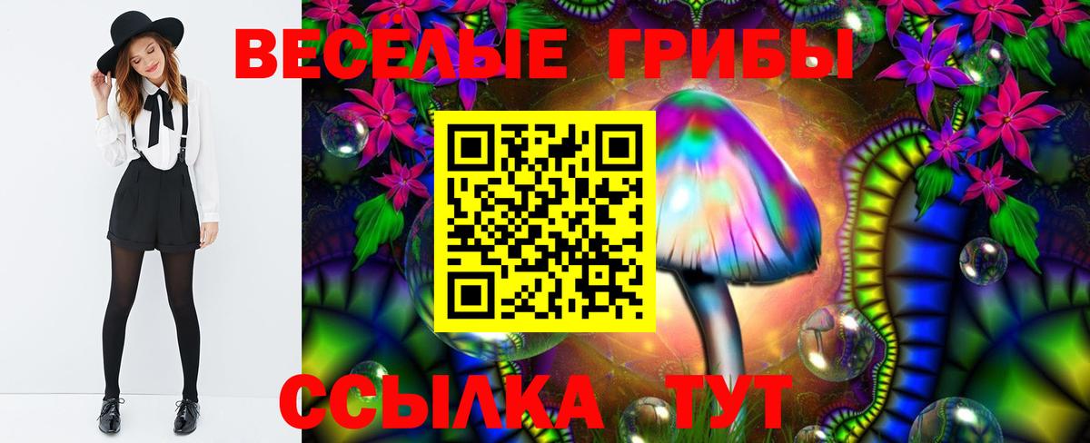 наркошоп  Вход с VPN  Домодедово  Псилоцибиновые грибы GOLDEN TEACHER 